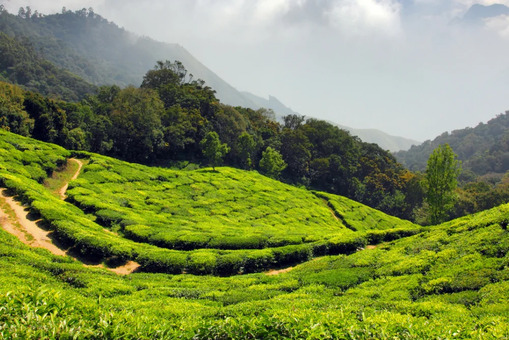 Best Hill Stations in India