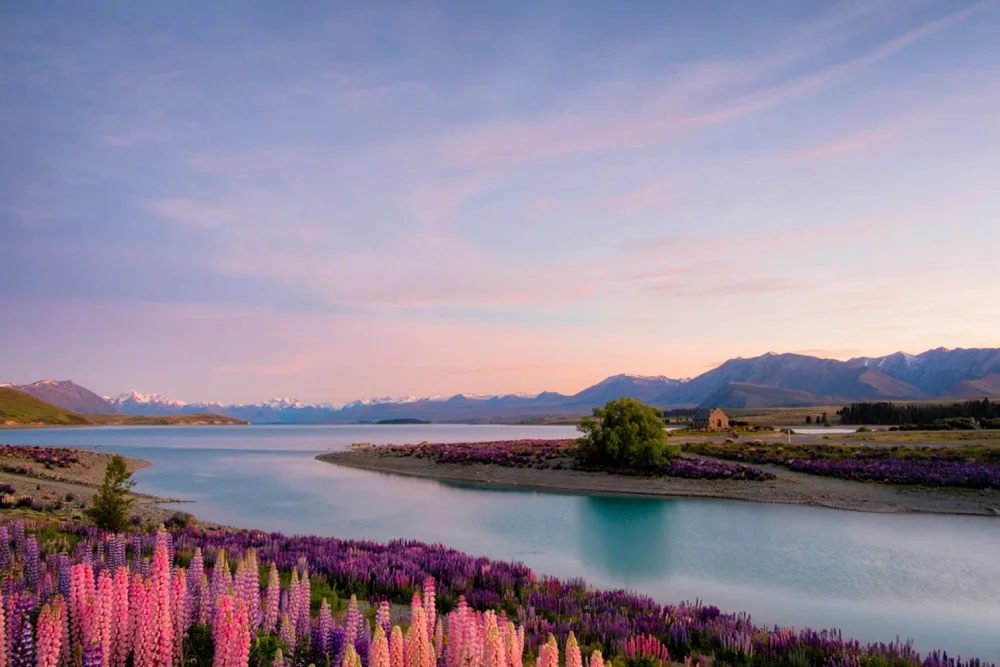 Best Time to Visit New Zealand