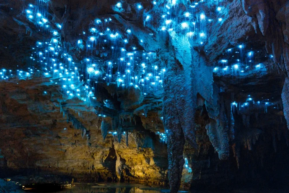 The Waitomo glow-worm caves