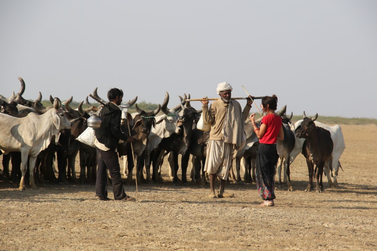 What is a Good Time to Visit Kutch
