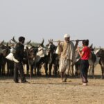 What is a Good Time to Visit Kutch