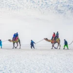 Why Stay in Kutch Homestays and Not Tent Cities