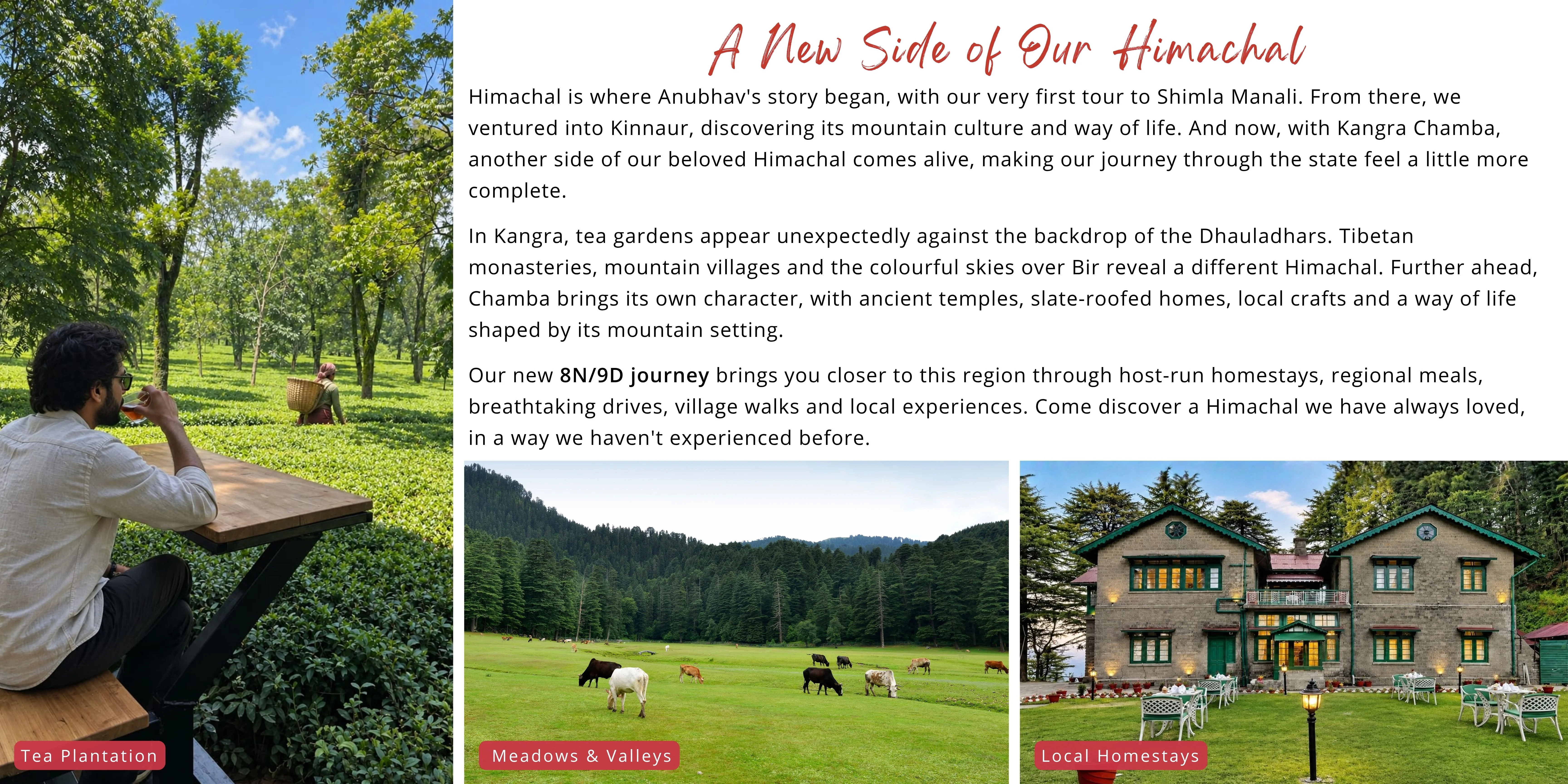 Tours Promotion